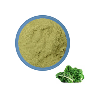 Organic Kale Powder Bulk