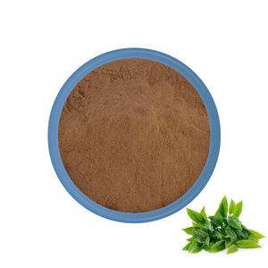 Green Tea Extract Powder 50% EGCG