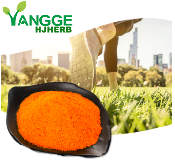 beta carotene foods - YanggeBiotech.png