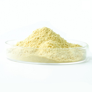 Usnic Acid
