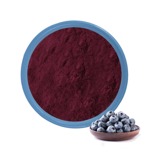 Blueberry Extract Powder 25% HPLC