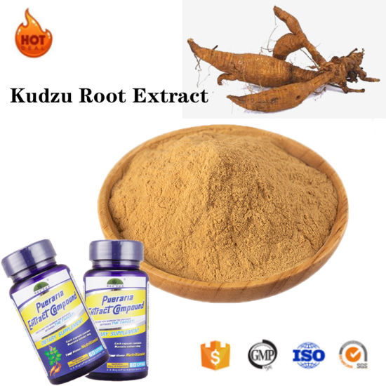 kudzu root extract for sale - YanggeBiotech