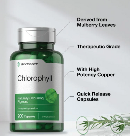 Can I take chlorophyll at night.png
