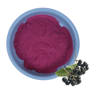 Elderberry Extract Powder