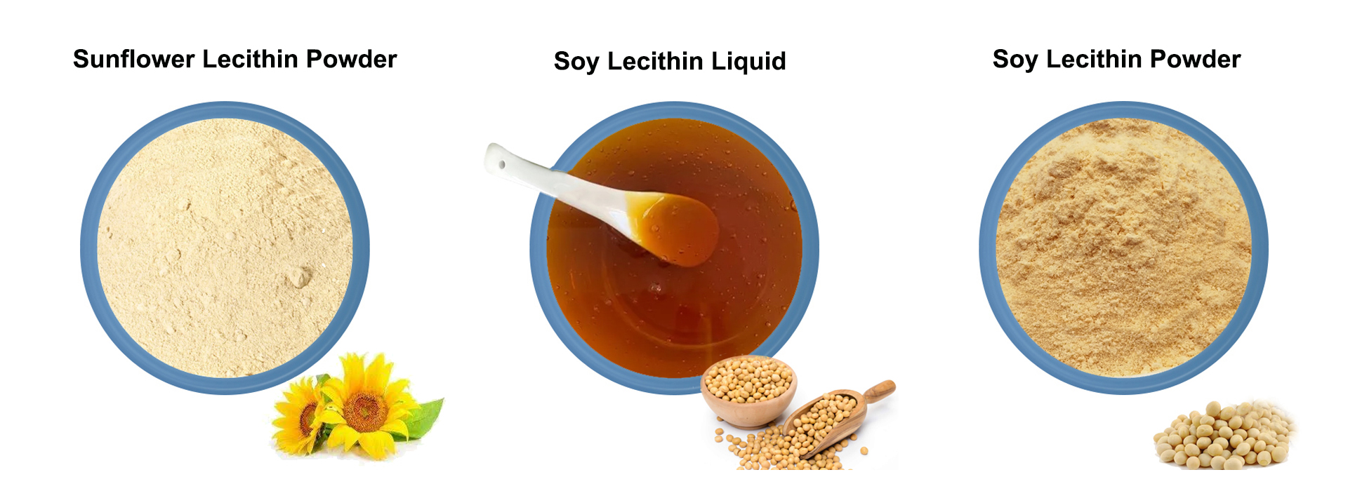 Where to buy soy lecithin YanggeBiotech