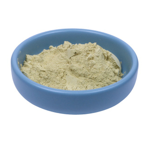 Rosemary Extract Powder