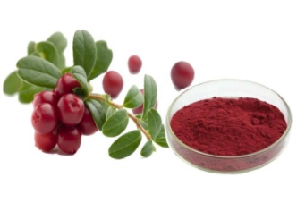 Cranberry extract powder price - YanggeBiotech.png