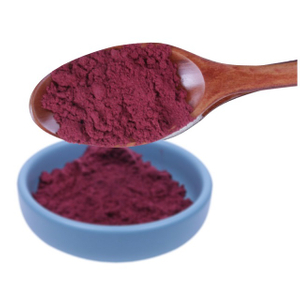 Red Beet Root Powder