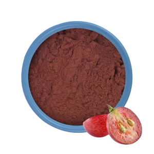 Grape Seed Extract 95% OPC