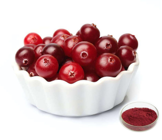 Cranberry extract ingredients.png